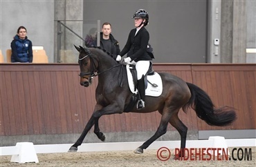 To unge talenter til Sophia Obel