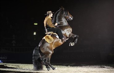 Video fra Gallashow 2011 