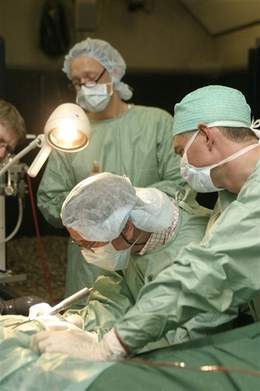 Indvielse af ny, moderne hestepraksis i dag