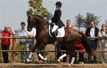 Resultater fra &aring;rets f&oslash;rste championat
