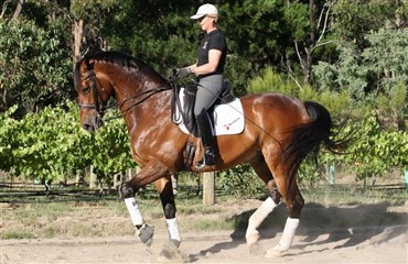Charlotte Pedersen placeret i Sydney