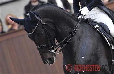 Kipling h&oslash;stede klapsalver i Neumünster (video)