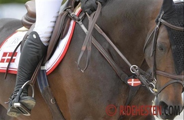 Riders Cup i fuld gang
