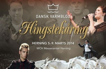 Hingstek&aring;ringen 2014 st&aring;r for d&oslash;ren