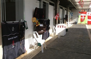 I dag skal hestene hjem fra Rio