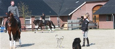 Anky bygger ridecentret om