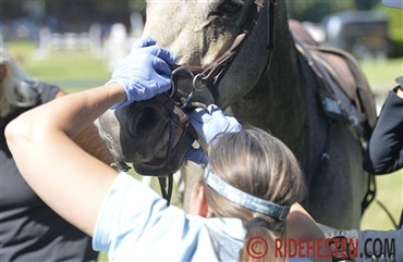 Udstyrskontroller ved turneringer og mesterskaber