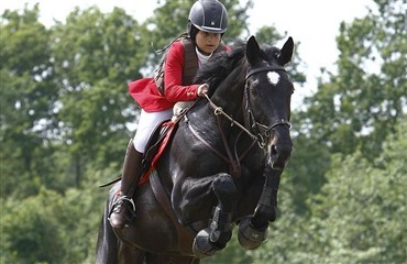 Sydjysk Mesterskab i springning for hest