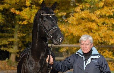F&oslash;lg med online i Totilas-eventyret!