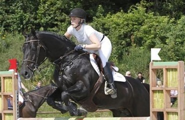 Danskejede heste i Grasleben