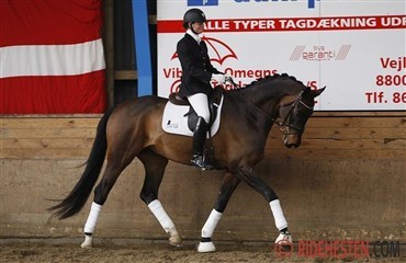 Dressurweekend i Viborg