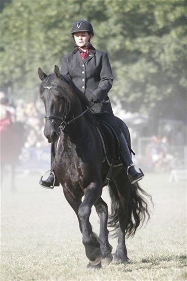 Landsst&aelig;vne for frieserne 