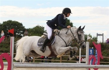 Fantastiske Toelstang