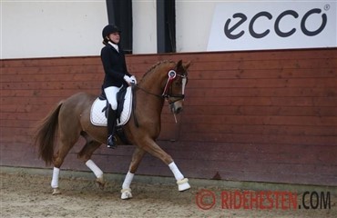 ECCO Cup-ponykvalifikation i Sundeved