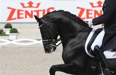 Totilas dominerer i Balve