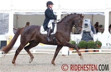 Fra DM til dr&oslash;mmen om OL