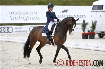 Nations Cup-hesten Saskia Hit pensioneret fra sporten
