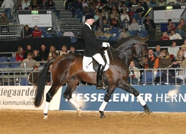 Tophingst til dansk juniorrytter