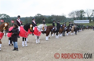 7. DM i ponydressur for hold i Frederikshavn