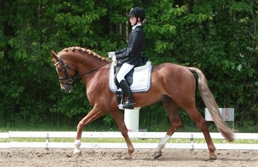 Landsst&aelig;vne i Frederikshavns Rideklub