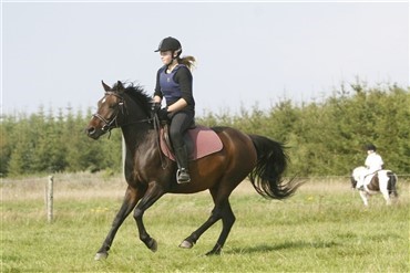 Gr&oslash;nne r&aring;d i kommunerne