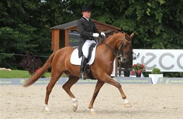 Dansk hest til Marcela Krinke Susmelj
