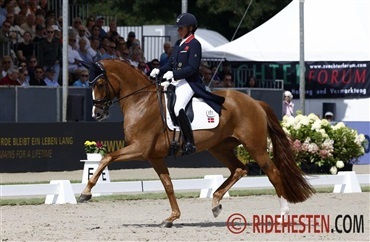 &Aring;rets dressurheste i Dansk Varmblod
