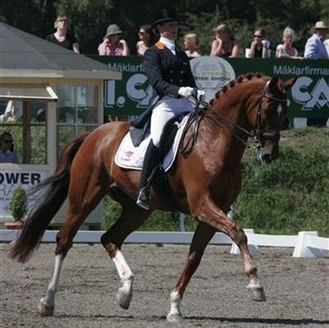 Adelinde og Parzival sejrer endnu engang i World Cup Grand Prix Kür