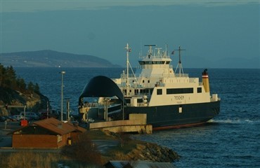 Forbrydelse bag l&oslash;s hest p&aring; f&aelig;rge?