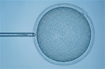 Hvad er ET, ICSI og OPU?
