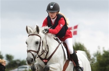 Ponyspringeliten dyster i Middelfart