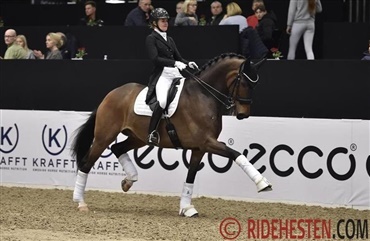 Bauneh&oslash;jens Carpaccio solgt til ponyrytter