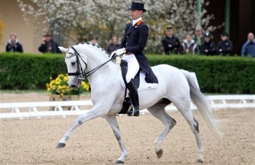 Danske heste i hollandsk mesterskab