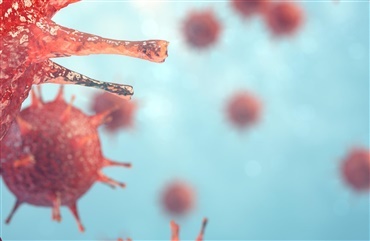 Herpesvirus-opdatering, 18. juli 2019