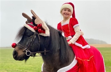 Se de sk&oslash;nne julefotos fra Ridehestens f&oslash;lgere