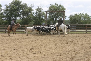 Extreme Cowboy Race 2007