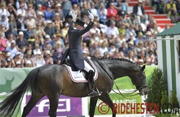 Digby – fra hest til verdensstjerne