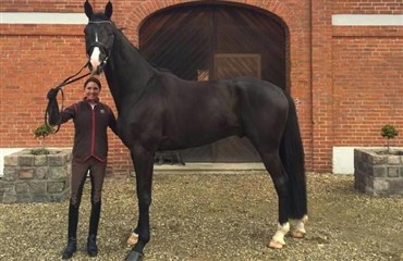 Ny DV-hest til Shawna Harding