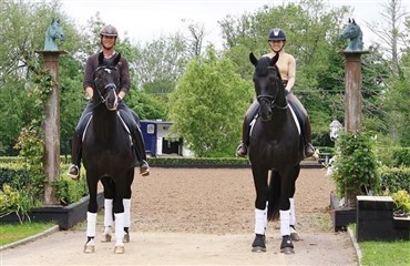 Topdressurrryttere med nye ungheste