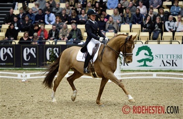 Fernandez p&aring; pension
