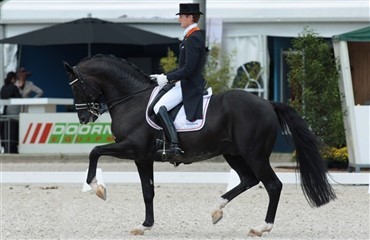 Eliten kommer til Hickstead