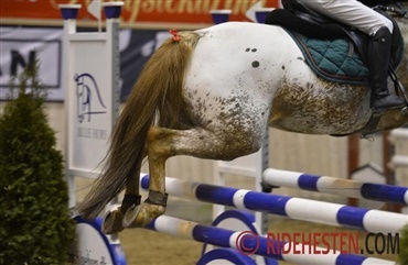 DM i springning for pony og children udskydes 