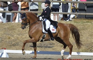 International debutsejr til Dufour