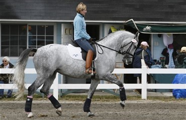 Dansk hoppe vinder Floridas GCDA Grand Finale