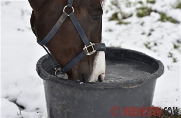 Fryser hestens vand til i kulden?