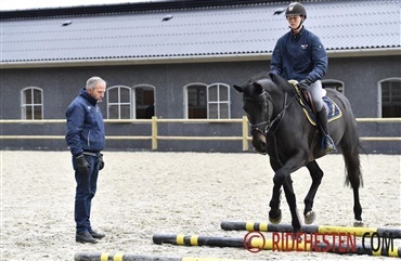 Er du klar til springchampionaterne?