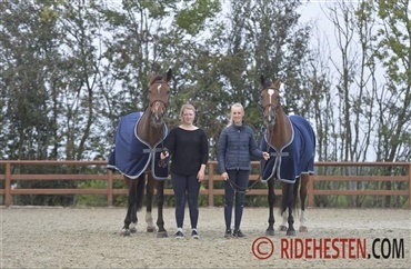 Kender du Frandsbjerg Horses?