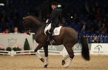 Dansk hest med succes i Wellington (Video)
