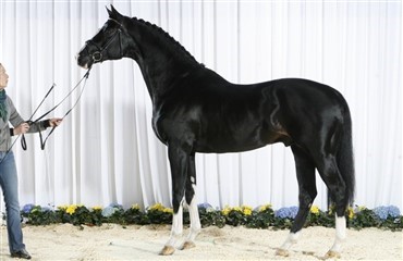 Sir Oldenburg til Sverige