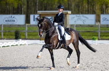 DV-hest vandt bronze ved Hollandsk Mesterskab